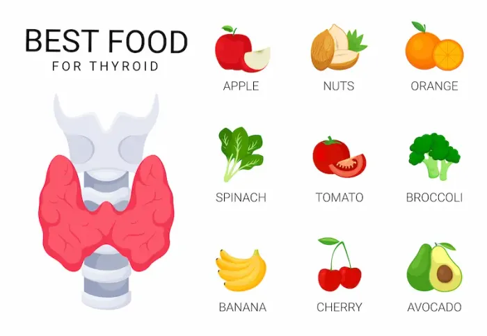 Best Foods to Support Thyroid Health Naturally